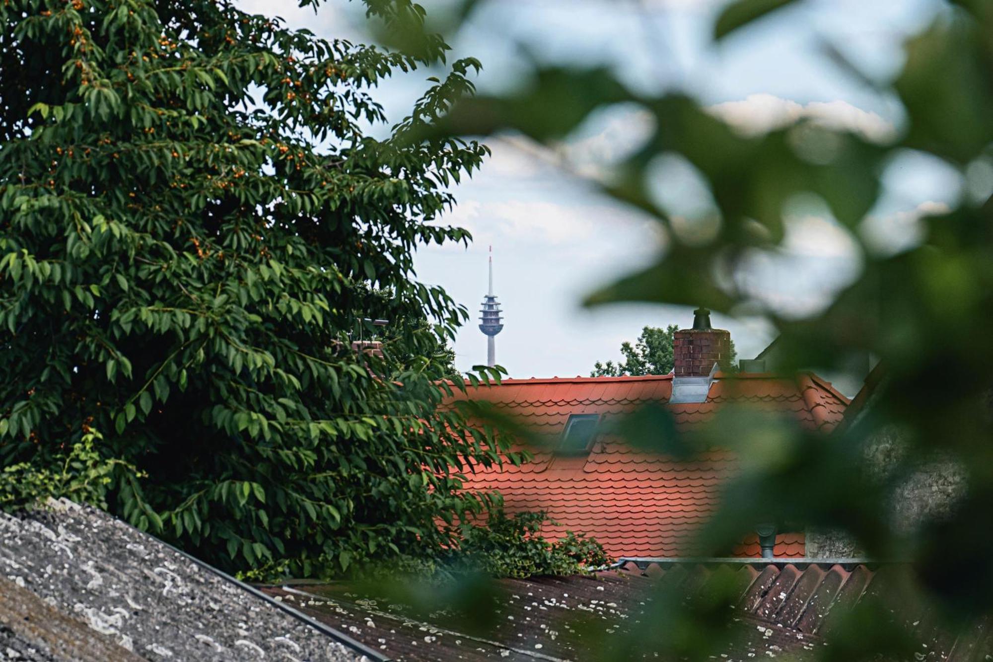 Ferienwohnung Schleicher Mit Klimaanlage زيمدورف المظهر الخارجي الصورة
